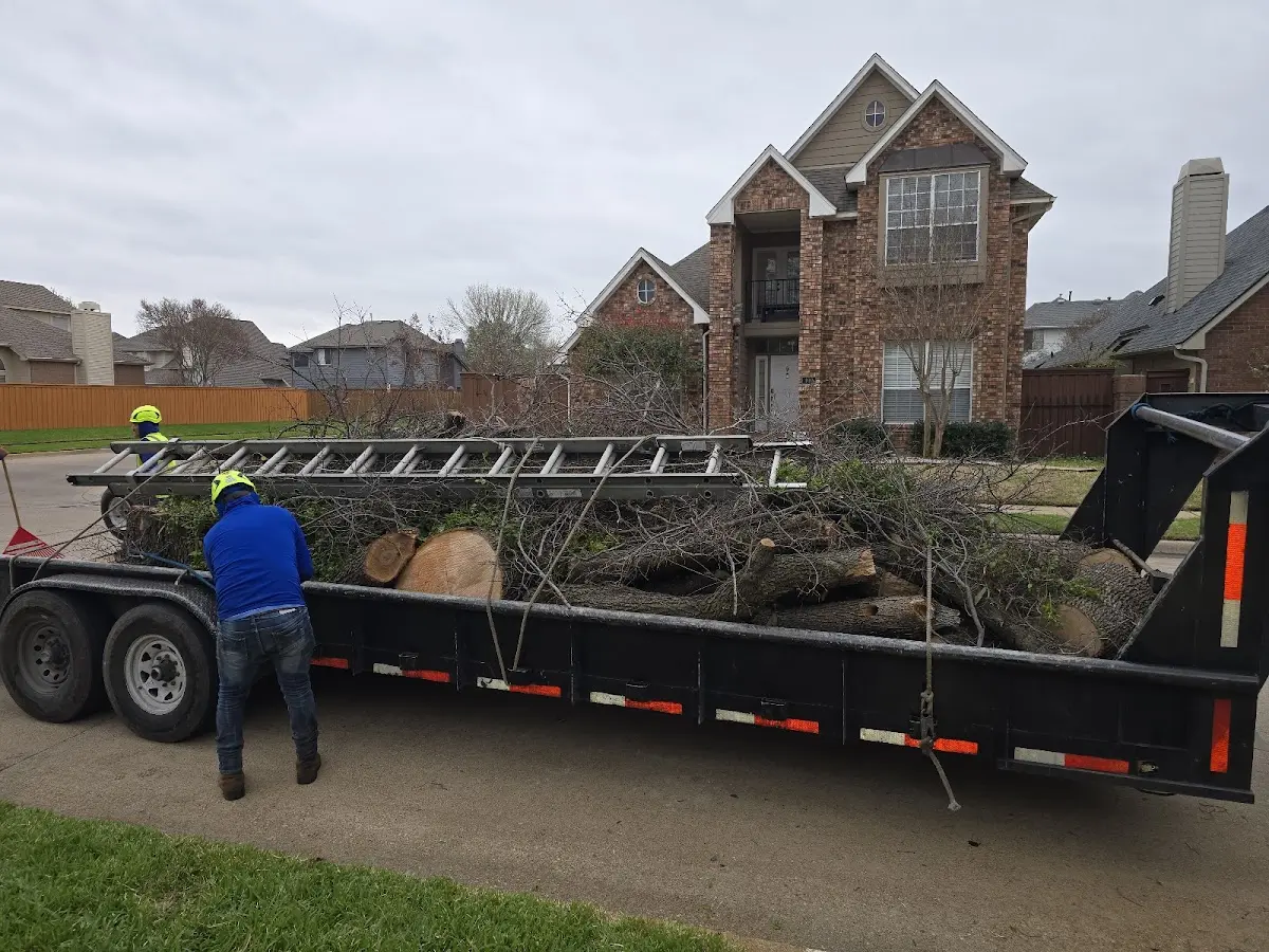 Expert Tree Fertilization with proper safety equipment in Painesdale